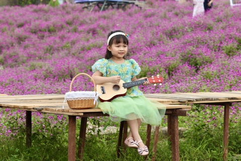 Young Hanoians fascinated by Gomphrena globosa
