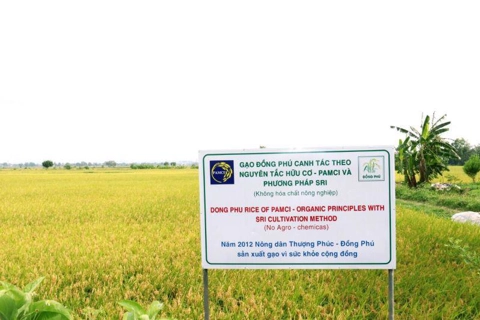 Hanoi encourages development of high-quality rice