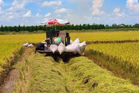 Vietnam’s rice exports to beat records in 2022