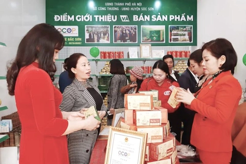 Hanoi consumers enjoy shopping at outskirts’ OCOP showrooms  