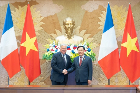 Vietnam, France to deepen strategic partnership