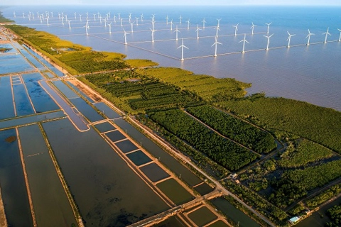 Vietnam enhances transparency in emission reduction data management