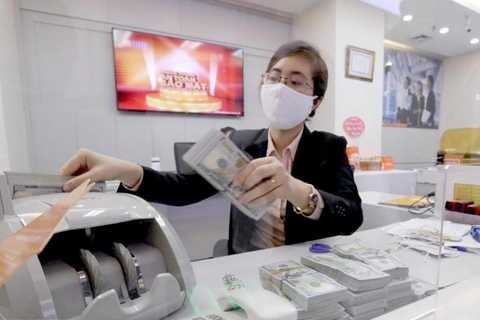 Vietnam's foreign reserves to return to US$100-billion mark by year-end