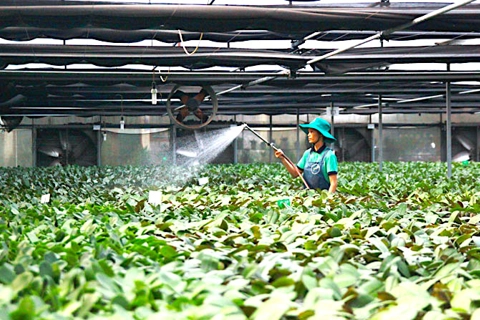 Hanoi maintains its leading position in building new-style rural areas