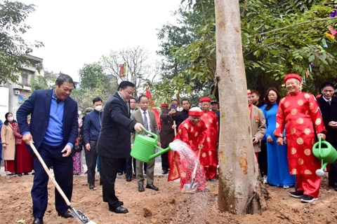 Hanoi Party chief attends tree planting festival