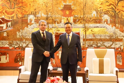 Direct flight between Vietnam and Azerbaijan on the horizon: Officials
