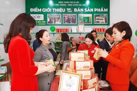 Hanoi to promote OCOP products in association with tourism