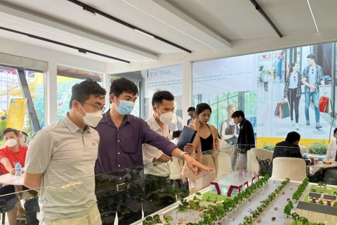 Pumping money into property firms – an unnecessary move: Economist Dinh The Hien