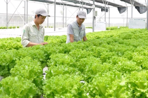 Vietnam to add value to vegetable and fruit 