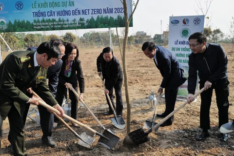 Net Zero Carbon tree-planting project launched in Hanoi