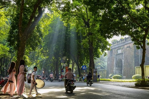 Hanoi among cities with most trees in the world