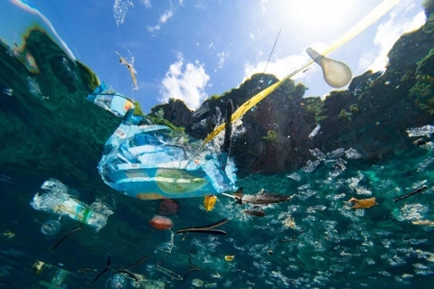 UNESCO Vietnam awards Youth Innovative Ideas for an Ocean without Plastic