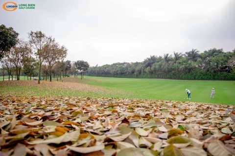 Hanoi boosts golf tourism to attract more international visitors