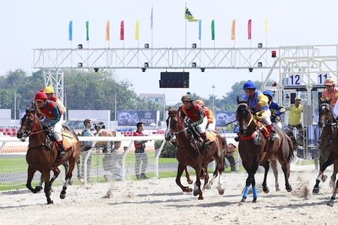 Northern province to build US$350-million horse racecourse
