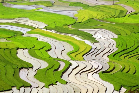 Beauty of Mu Cang Chai's flooded rice fields 