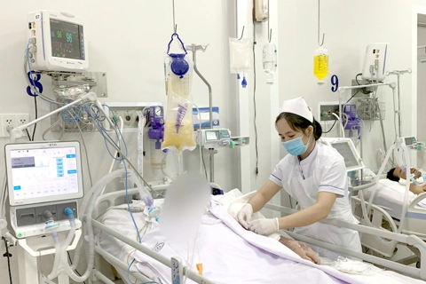 Vietnam News Highlights for May 25, 2023