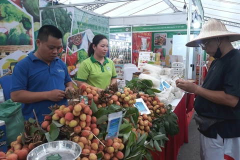 Hanoi cooperates with provinces for safe fruits and farm produce supply