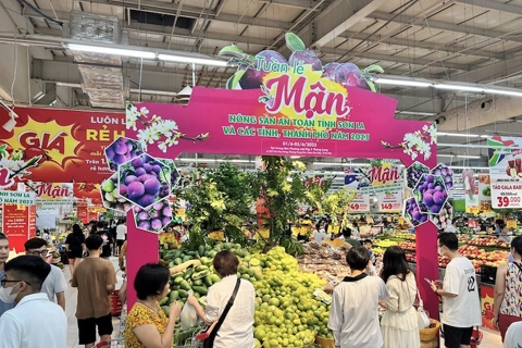 Hanoi residents enjoy plum and safe specialties from Son La