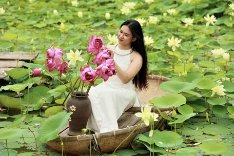 Breathtaking lotus pond outside Hanoi