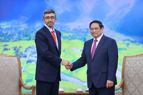 UAE prioritizes comprehensive economic partnership with Vietnam: FM