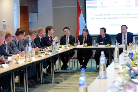 Vietnam holds potential to become global hub for renewable energy