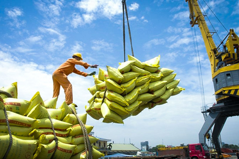 El Niño boosts Vietnamese rice exports