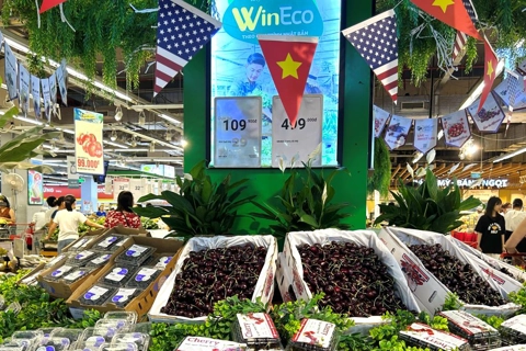 United Tastes continue expanding in Hanoi