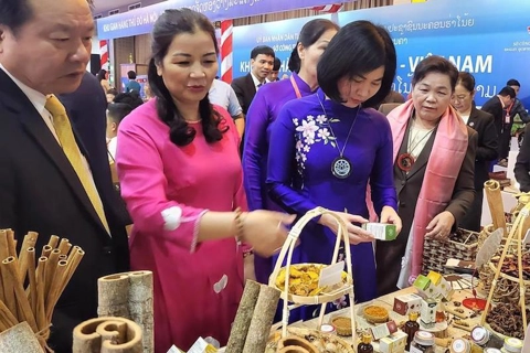 Hanoi, Vientiane cooperate to develop raw material areas