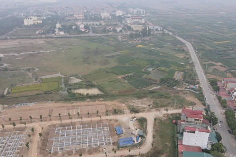 Cancellation of land allotment requires careful approach: Vietnamese official