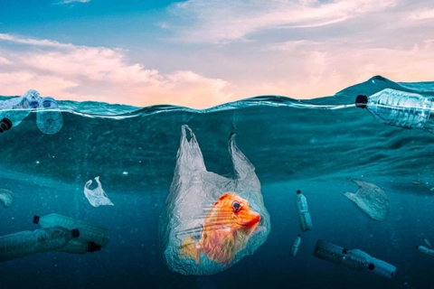 Vietnam supports global action against plastic waste