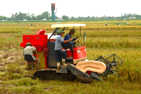 Vietnam to balance rice exports and national food security: PM