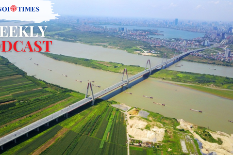 Hanoi Times Weekly Podcast for August 12, 2023