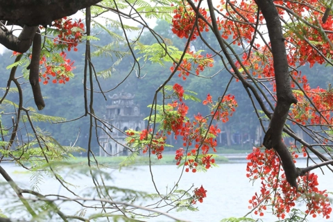 Hoan Kiem District: The cultural center of Hanoi
