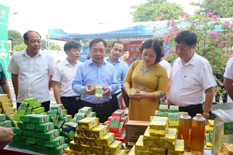 Hanoi intensifies promoting OCOP and safe farm produce  