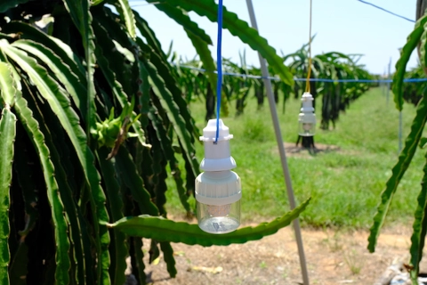 Vietnam News Highlights for August 18, 2023