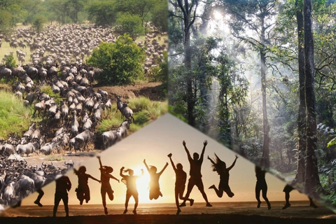 Vietnam holds historic meeting to protect human, animal and environmental health