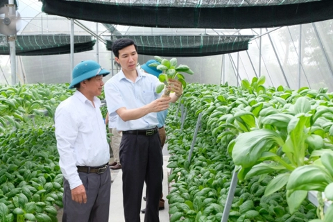 Hanoi promotes safe agriculture