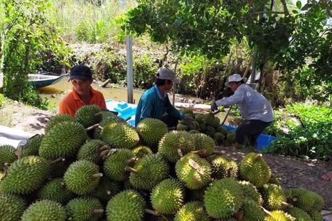 Vietnam’s vegetable exports reach record high