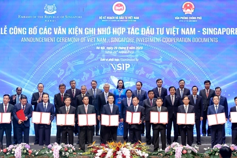 More Vietnam-Singapore industrial parks set to be built