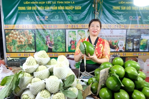 Hanoi and other localities promote OCOP products, regional specialties 