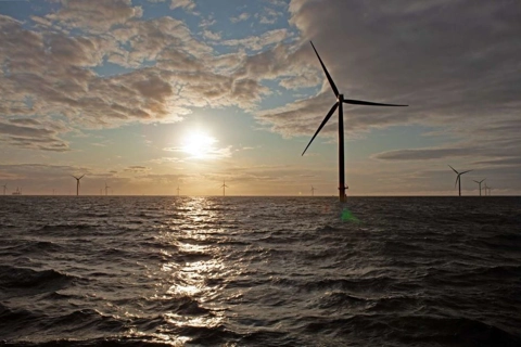 Green Future promotes Vietnam-Denmark cooperation for sustainable growth