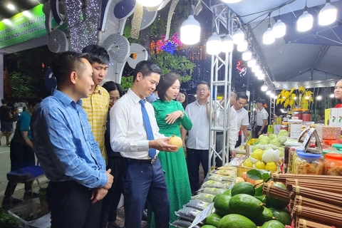 The Fruit and Safe Farm Produce Fair opens in Hanoi 