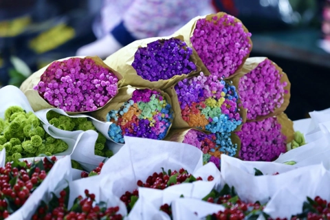 Brillant flower at Quang Ba Flower Market for Vietnamese Women’s Day