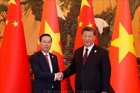 China supports strong and prosperous Vietnam: Xi Jinping