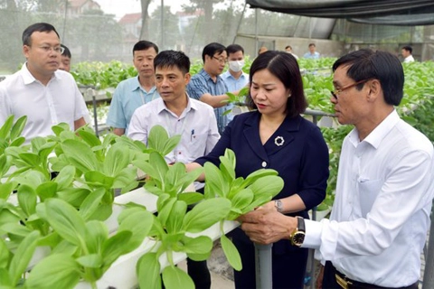 High-tech agricultural farm launched in central Hanoi