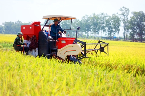 IFAD support transforms farmers’ lives in Vietnam