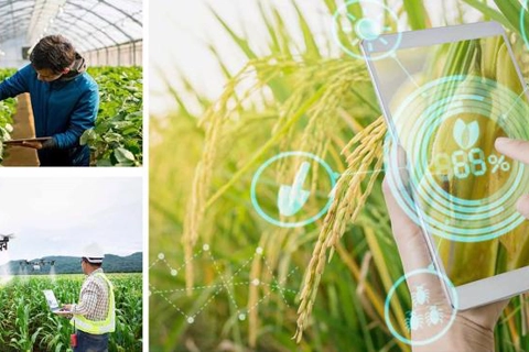 Digital solutions key to sustainable agriculture