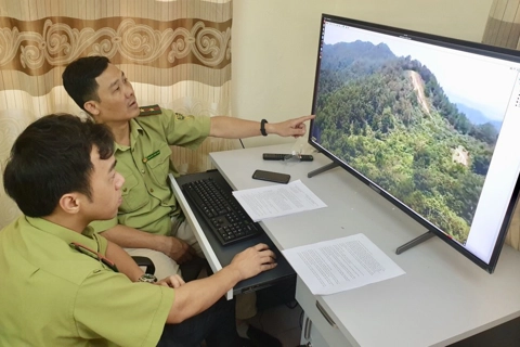Hanoi professionalizes forest management