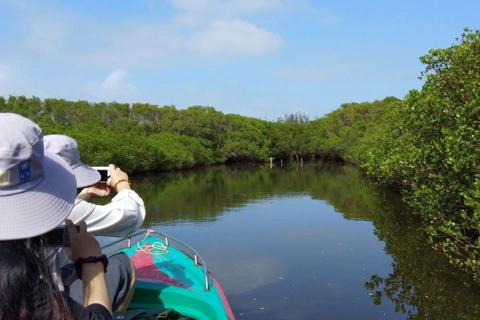Mangroves: Precious resources of Vietnam in mitigating climate change