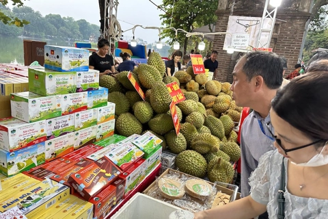 Vietnam news in brief - November 22